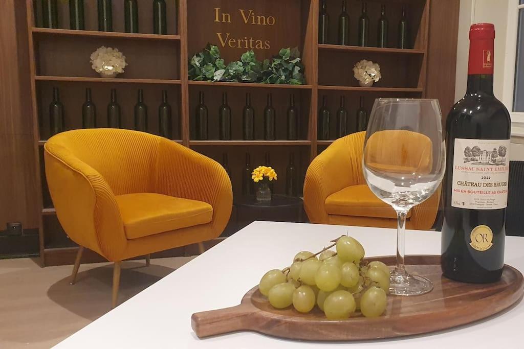 Suite Vinicole Hypercentre, Bastille & Gare 9 Min A Pied Гренобъл Екстериор снимка