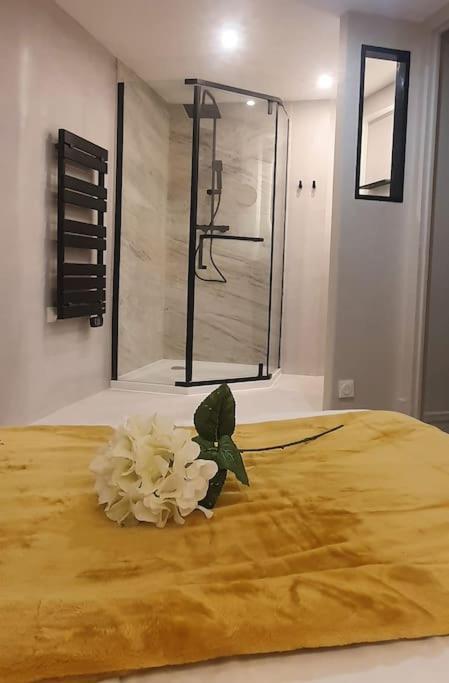 Suite Vinicole Hypercentre, Bastille & Gare 9 Min A Pied Гренобъл Екстериор снимка